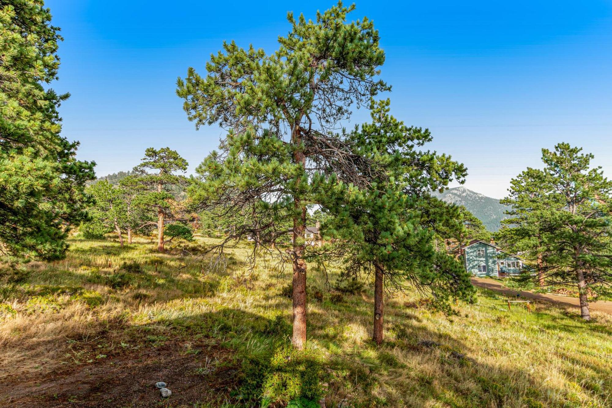 Deer Mountain Lodge South Estes Park Luaran gambar